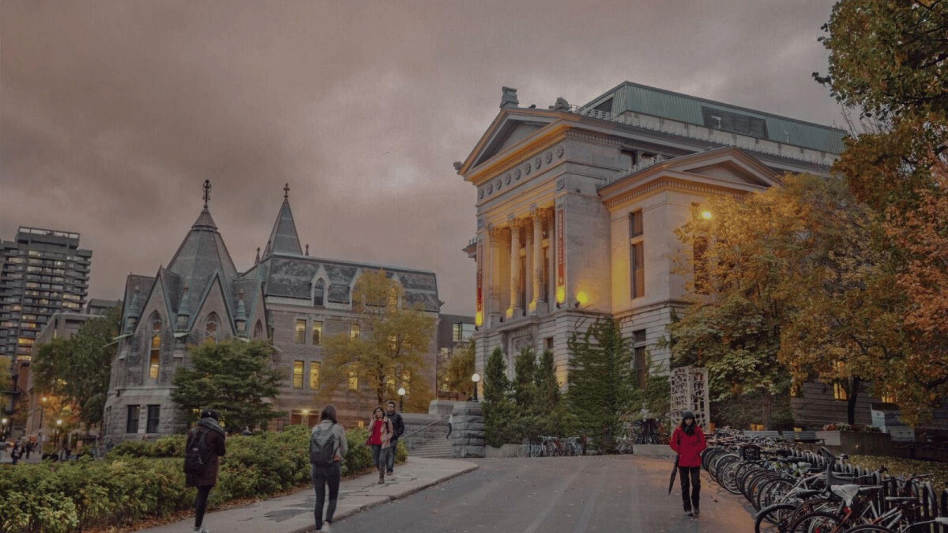 McGill Law School Acceptance Rate, Requirements, Rankings, Tuition Cover Photo